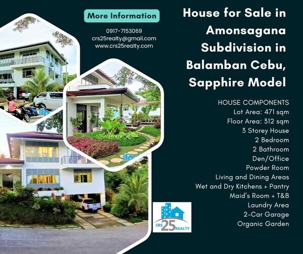 House for Sale in Amonsagana Subdivision in Balamban Cebu, Sapphire Mod