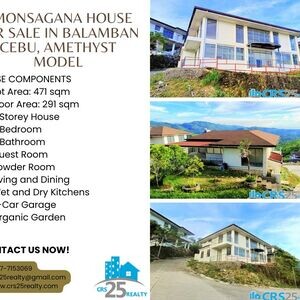 Amonsagana House for Sale in Balamban Cebu, Amethyst Model | PostAds PH