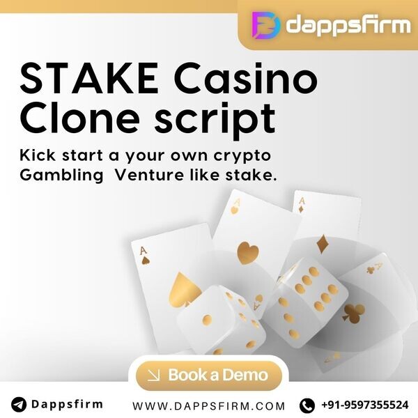 Minimal Cost Stake Clone Script – The Key to Your Online Casino Success