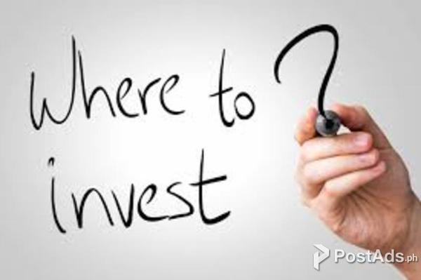  Investor Looking For Partners and Associates