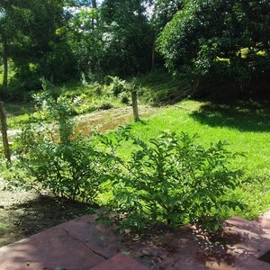 Ricefields for sale | PostAds PH