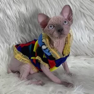 107 Ivan (R) Sphynx male kitten | PostAds PH