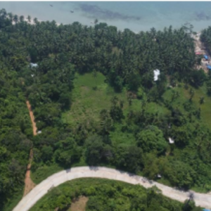 Sibaltan, El nido, Palawan Lot Area: 13,169 sqm | PostAds PH
