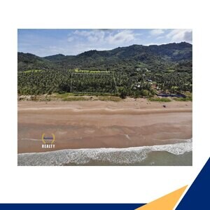 So Dagmay El nido, Palawan Lot Area: 2-hectare sqm | PostAds PH