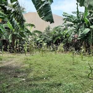 Cebu 1826 SQM Lot in A.S. Fortuna Mandaue near Oakridge | PostAds PH