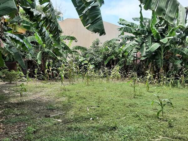 Cebu 1826 SQM Lot in A.S. Fortuna Mandaue near Oakridge