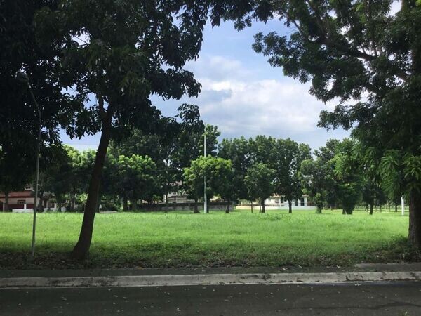 Lot For Sale - 478 Sqm Inner Lot in Manila Southwoo