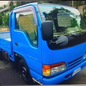 Isuzu Elf 6W Cargo Dropside, Double | PostAds PH