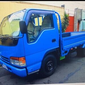 Isuzu Elf 6W Cargo Dropside, Doublee | PostAds PH