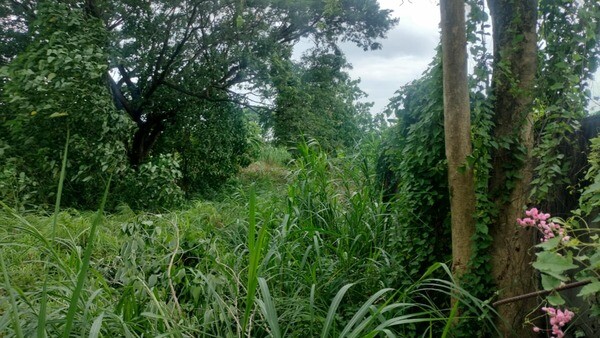 5183 SQM Residential Lot in Tunghaan Minglanilla Cebu