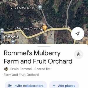 Farm/Residential Land/Retirement Farm and Fruit Orchard for Sale | PostAds PH