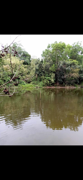 15 Hectares Farm Land for Sale in Dona Remedios Trinidad Bulacan