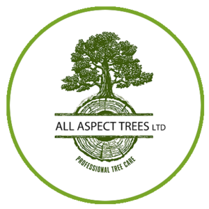 All Aspect Trees Ltd | PostAds PH