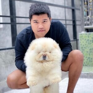 chow chow puppies | PostAds PH