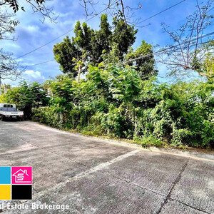 For Sale Lot Only in Maria Luisa Estate Banilad Cebu City | PostAds PH