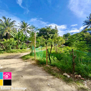 Residential Lot for Sale in Talamban Cebu City | PostAds PH