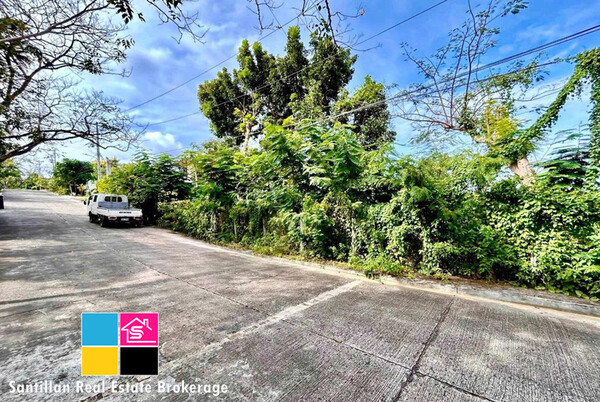 Residential Lot For Sale at Maria Luisa Estate Subdivision Banilad Cebu