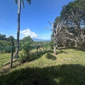 Lot for Sale in Balili, Valencia | PostAds PH