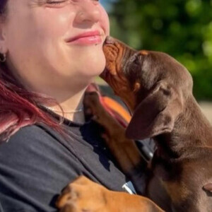 KC registered Doberman Pinscher puppiess | PostAds PH