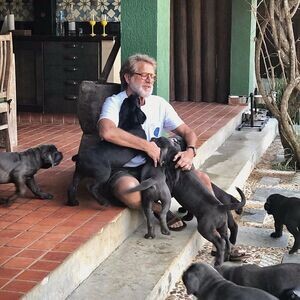4 Trained Cane Corso puppies | PostAds PH