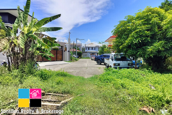 Talamban Cebu City Big Residential Lot For Sale