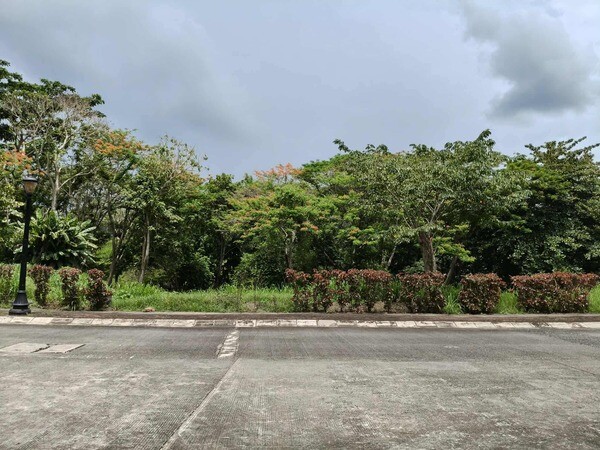 Residential lot for sale in Wedgewood Subd. Silang Cavite