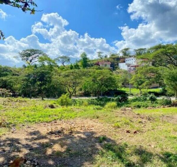 198 OVERLOOKING LOT TALISAY CITY CEBU FIESOLE CAMELLA AZIENDA