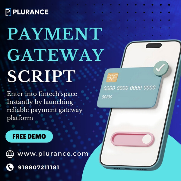 Be the Next Stripe or PayPal - Start with Our Payment Gateway Script