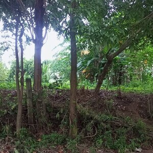 8383 m² RESIDENTIAL FARM LOT, Aya, Talisay, Batangas | PostAds PH