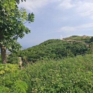 Montelago Prime Overlooking Lot Cebu City | PostAds PH