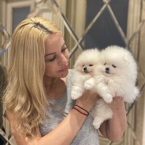 Beautiful Pomeranian Puppy. | PostAds PH