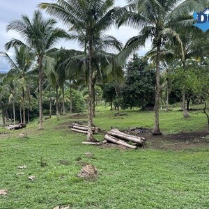 LOT FOR SALE IN TANAY RIZAL | PostAds PH