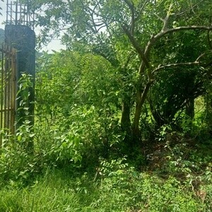 LOT FOR SALE IN PANGIL LAGUNA DIRECT TO OWNER | PostAds PH