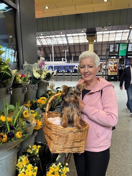 Adorable Yorkie Puppies for Rehoming 