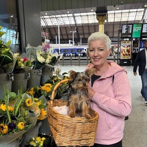 Adorable Yorkie Puppies for Rehoming | PostAds PH