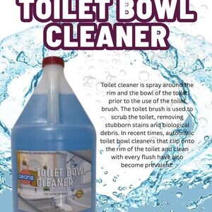 Toilet Bowl Cleaner (Gallon) | PostAds PH