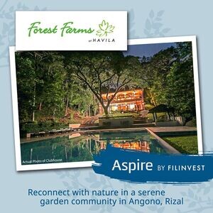Lot for Sale in Angono Rizal - Forest Farm at Havila - DGP FF 100433 | PostAds PH