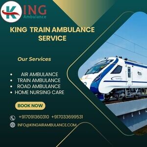 Use the best and reliable King Train Ambulance service in Nagpur for pa | PostAds PH