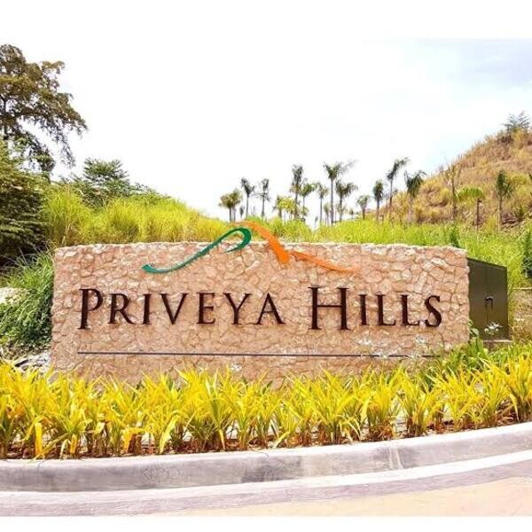 399 SQM LOT PRIVEYA HILLS TALAMBAN CEBU CITY