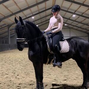 Friesian Horse V WhatsApp me : ( +63 985 762 7466 ) | PostAds PH