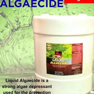 LIQUID ALGAECIDE (PAIL) | PostAds PH