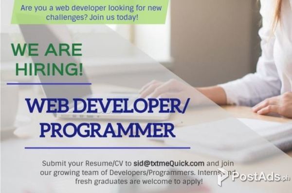 Web Developer 