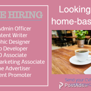 Developer (Homebased) | PostAds PH