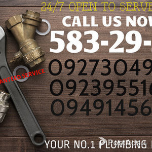 ANGELES CITY AJP MALABANAN POZO NEGRO EXPERT 092736049136 | PostAds PH
