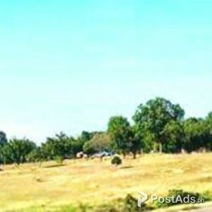 Recuerdo Memorial Lots | PostAds PH