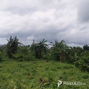 REDUCED PRICE!!! 8,353sqm Farm Lot in Tanauan City, Batangas | PostAds PH