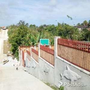 near save more amadeo farm lot for sale in amadeo near tagaytay | PostAds PH