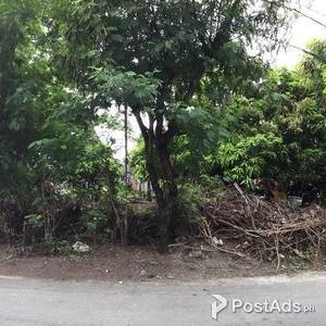 Vacant Lot Villanueva Subdivision, Imus, Cavite | PostAds PH
