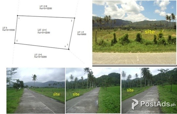 Agricultural lot for sale