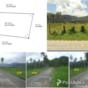 Agricultural lot for sale | PostAds PH